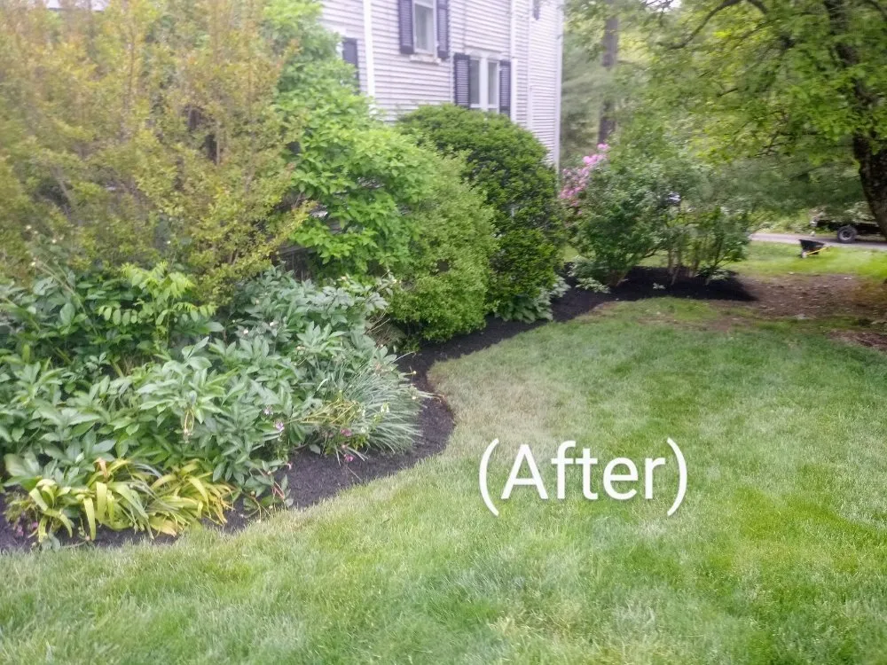 Reliable yard maintenance in Delta, PA - Country Air Lawn Care