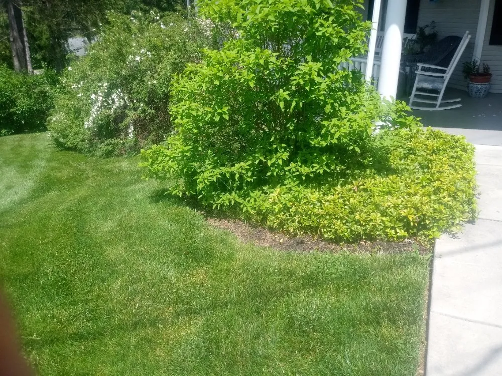 Top-rated lawn mowing service experts serving Delta, PA - Country Air Lawn Care