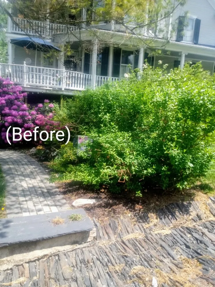 Expert yard cleanup service in Delta, PA - Country Air Lawn Care