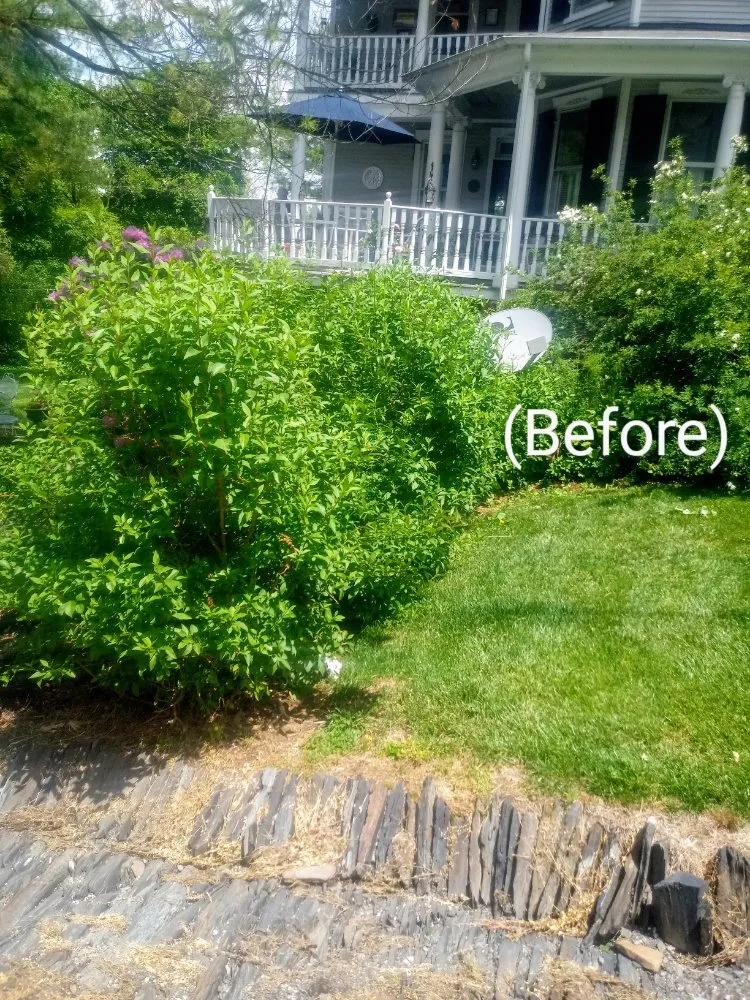 Affordable landscaping services in Delta, PA - Country Air Lawn Care