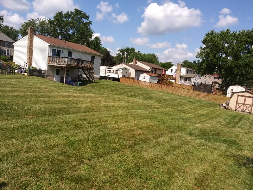 Local yard maintenance for year-round maintenance across Delta, PA - Country Air Lawn Care