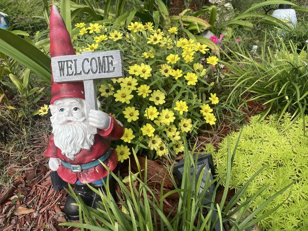 Trusted landscaping services for homes across McColl, SC - Country and shorty landscaping