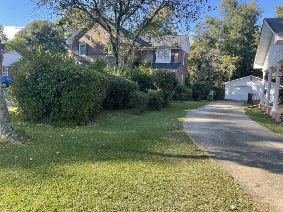 Affordable lawn care service in McColl, SC by Country and shorty landscaping