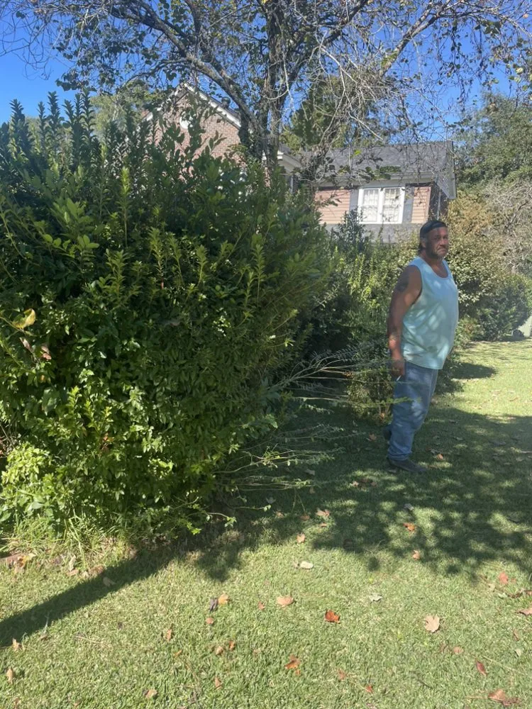 Reliable lawn mowing service near you across McColl, SC - Country and shorty landscaping