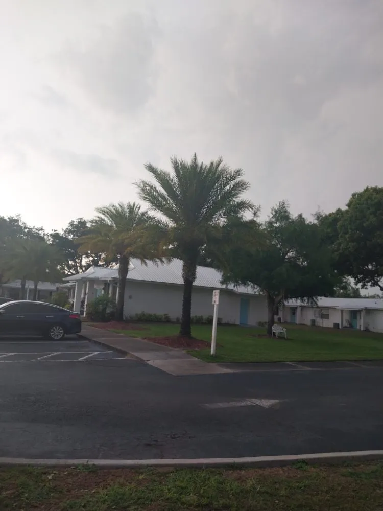 Trusted yard cleanup service experts serving Mount Dora, FL - Country Boy Lawn Care And Tree Service