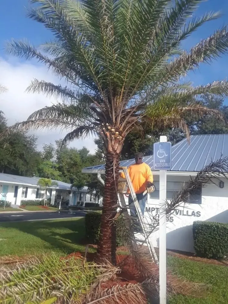 Custom landscaping services for beautiful yards across Mount Dora, FL - Country Boy Lawn Care And Tree Service