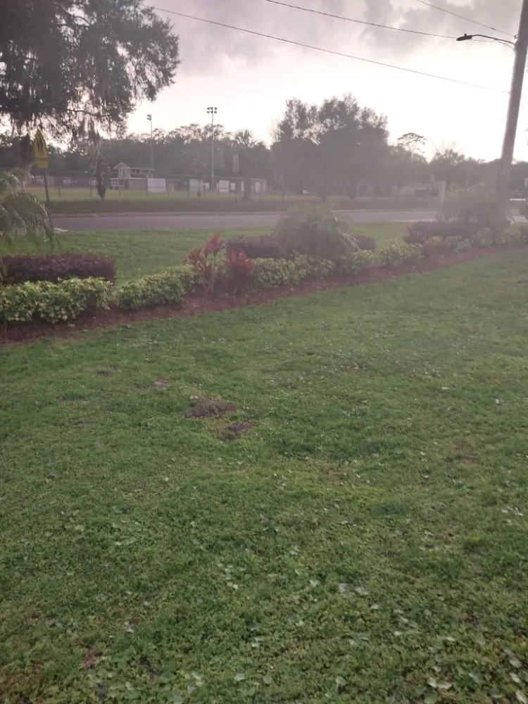 Trusted landscape design for year-round maintenance across Mount Dora, FL - Country Boy Lawn Care And Tree Service