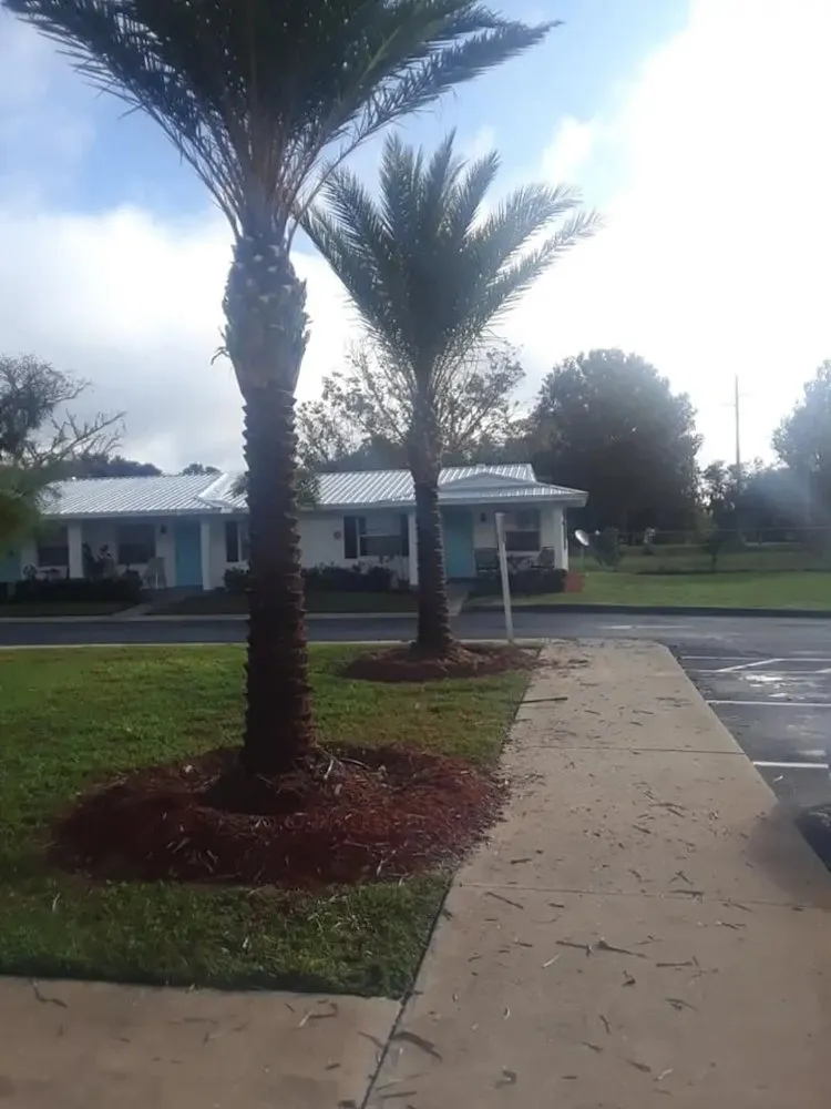 Reliable landscape installation in Mount Dora, FL - Country Boy Lawn Care And Tree Service