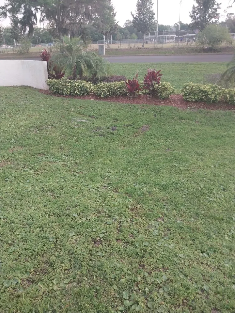 Trusted residential landscaping in Mount Dora, FL by Country Boy Lawn Care And Tree Service