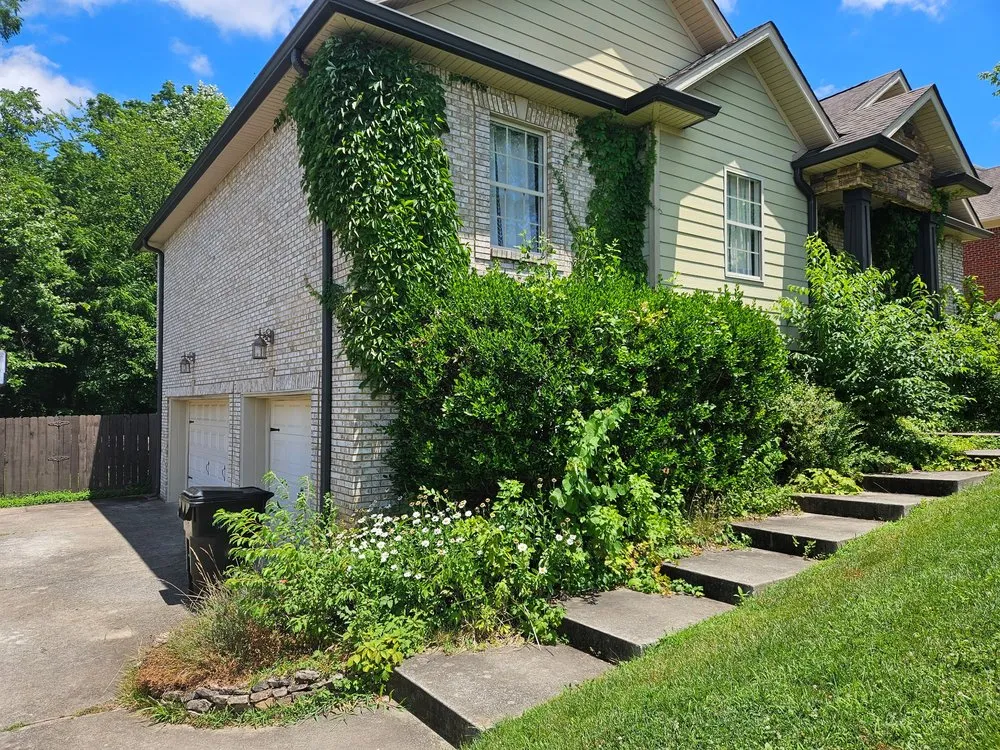 Professional garden landscaping in Woodlawn, TN by Country Boy Lawn Care Landscaping and Junk Removal