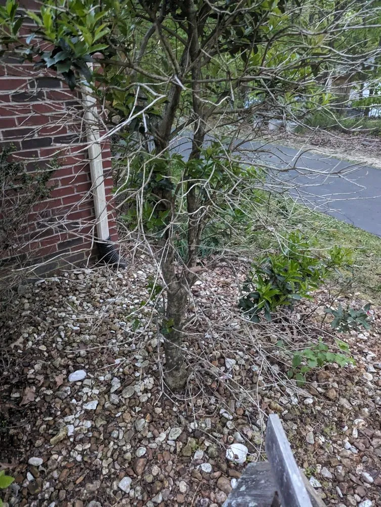 Custom garden landscaping for residential properties across Woodlawn, TN - Country Boy Lawn Care Landscaping and Junk Removal