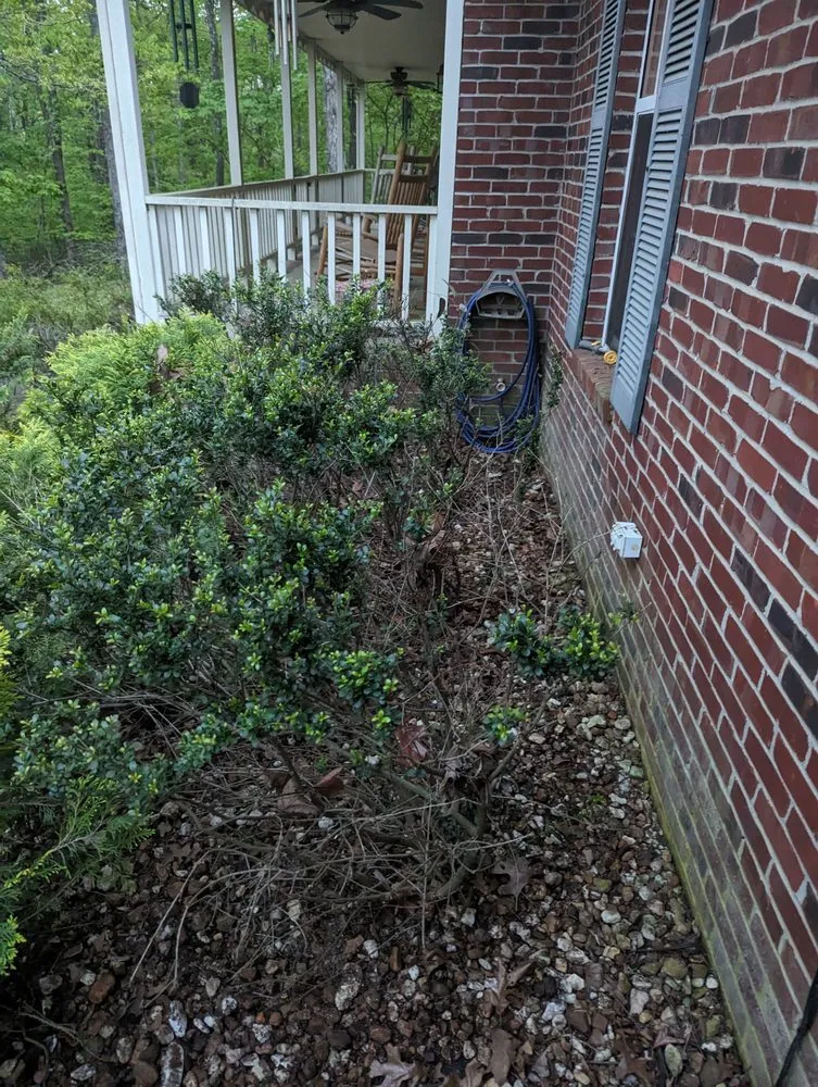 Top-rated garden landscaping in Woodlawn, TN by Country Boy Lawn Care Landscaping and Junk Removal