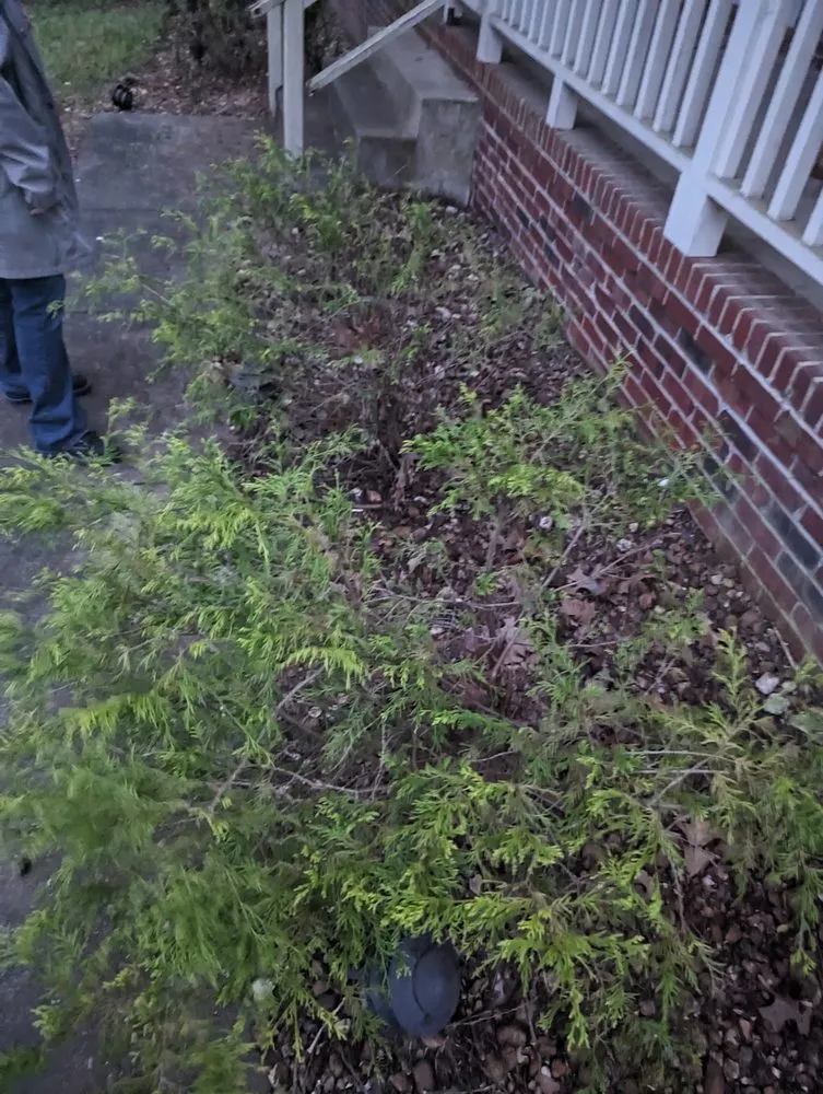 Trusted yard maintenance for residential properties in Woodlawn, TN by Country Boy Lawn Care Landscaping and Junk Removal