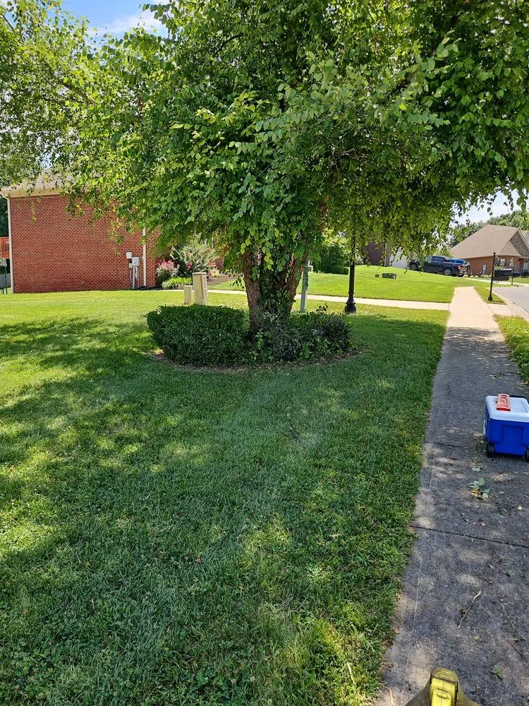 Trusted residential landscaping in Woodlawn, TN - Country Boy Lawn Care Landscaping and Junk Removal