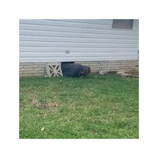 Reliable residential landscaping for homes in Auburndale, FL by Country Boy Pest Control