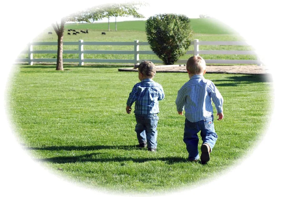 Affordable landscape design for outdoor upgrades in Nampa, ID by Country Boys Landscape