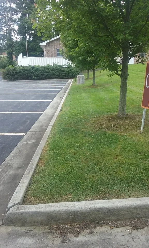 Reliable landscaping services for homes across Church Hill, TN - Country Boys Lawn & Landscaping Services