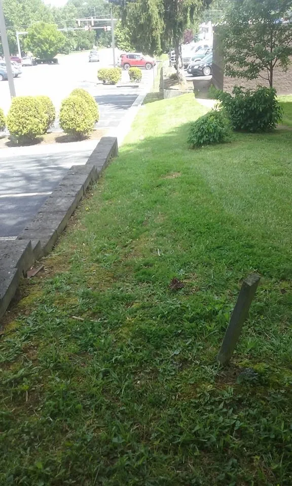 Top-rated garden landscaping in Church Hill, TN by Country Boys Lawn & Landscaping Services