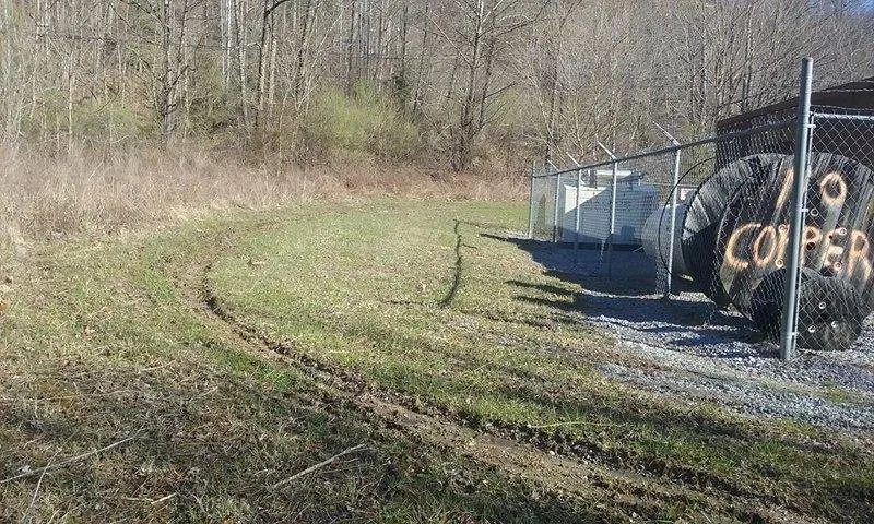 Expert yard maintenance in Church Hill, TN by Country Boys Lawn & Landscaping Services