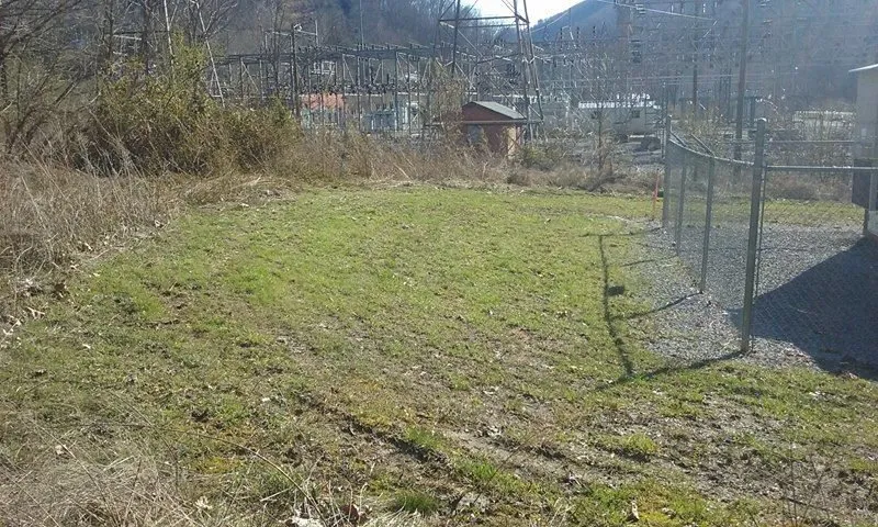 Top-rated lawn care service in Church Hill, TN by Country Boys Lawn & Landscaping Services