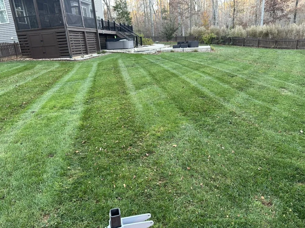 Top-rated yard cleanup service experts serving North Chesterfield, VA - Country Boys Lawn Care