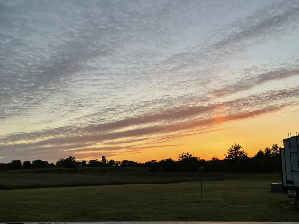 Professional yard cleanup service with custom design across North Chesterfield, VA - Country Boys Lawn Care