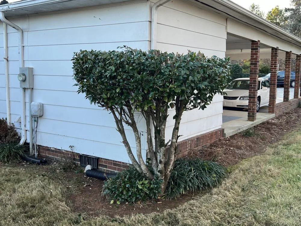 Top-rated garden landscaping experts serving Winston-Salem, NC - Country Boyz Ground Management