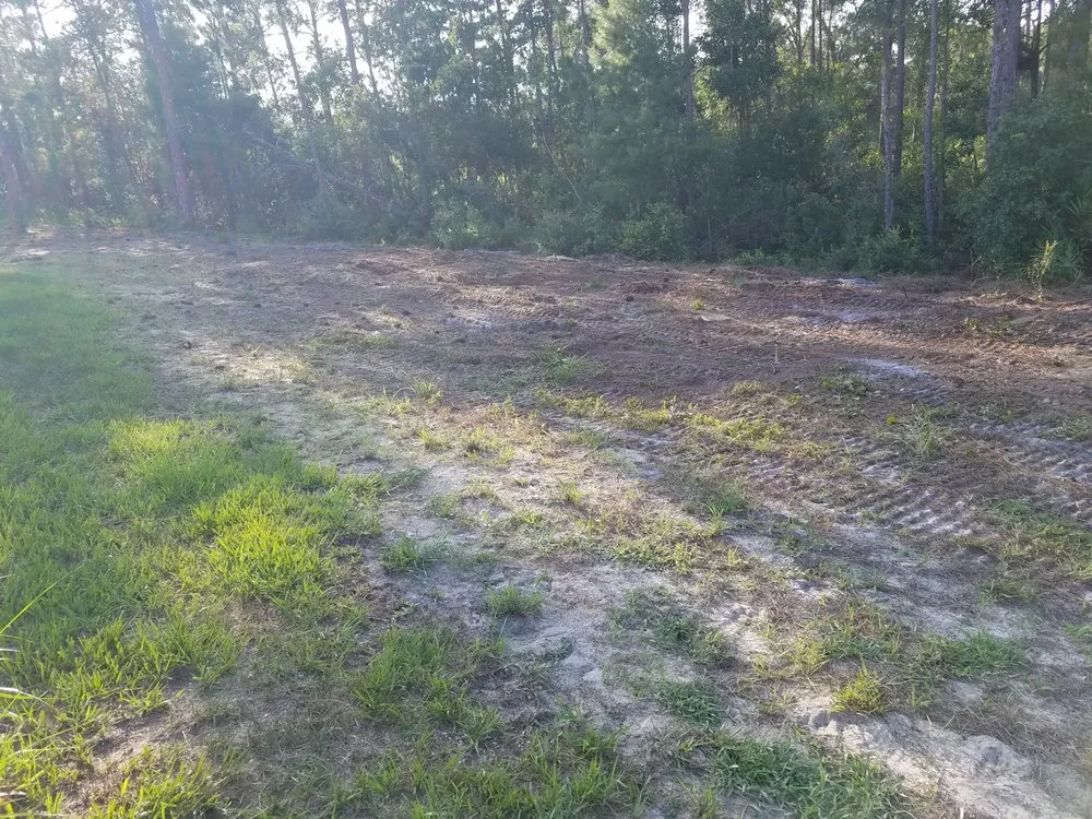 Custom yard cleanup service for outdoor upgrades across Avon Park, FL - Country Brother’s Tree Service