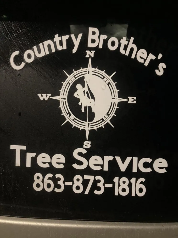 Reliable yard maintenance experts serving Avon Park, FL - Country Brother’s Tree Service