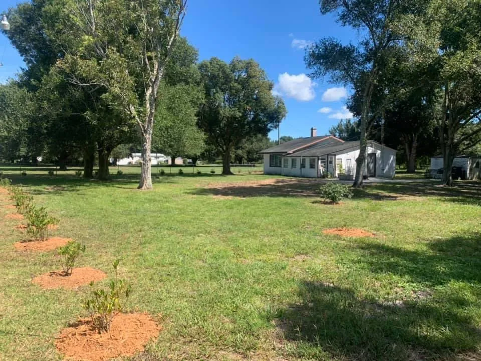 Trusted yard maintenance experts serving Avon Park, FL - Country Brother’s Tree Service