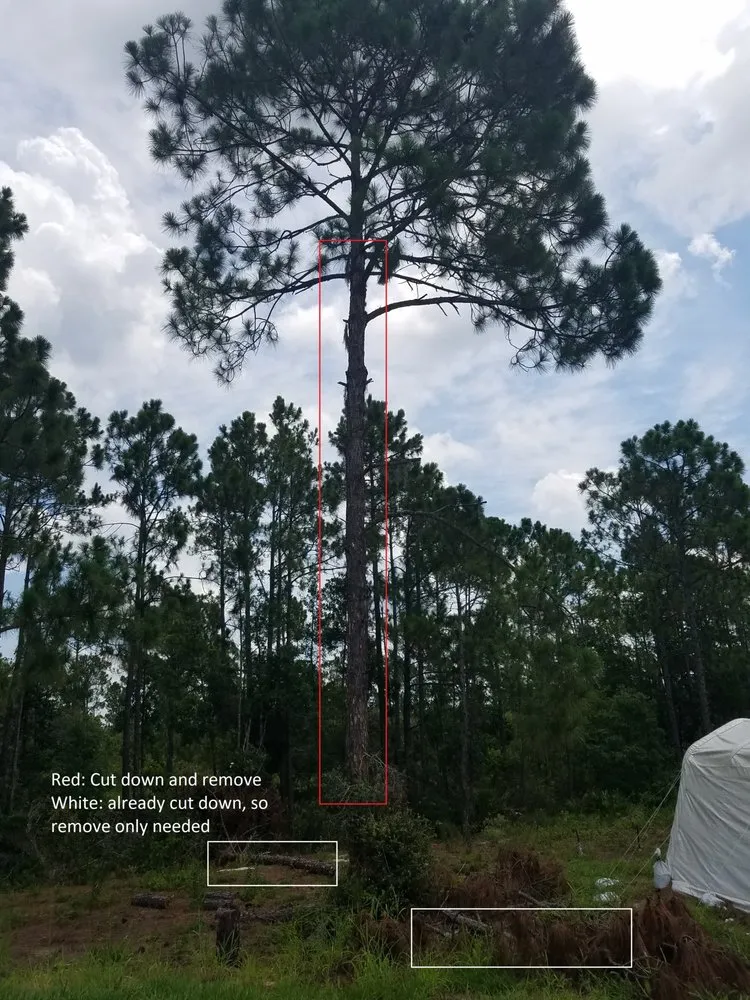 Local residential landscaping for outdoor upgrades in Avon Park, FL by Country Brother’s Tree Service