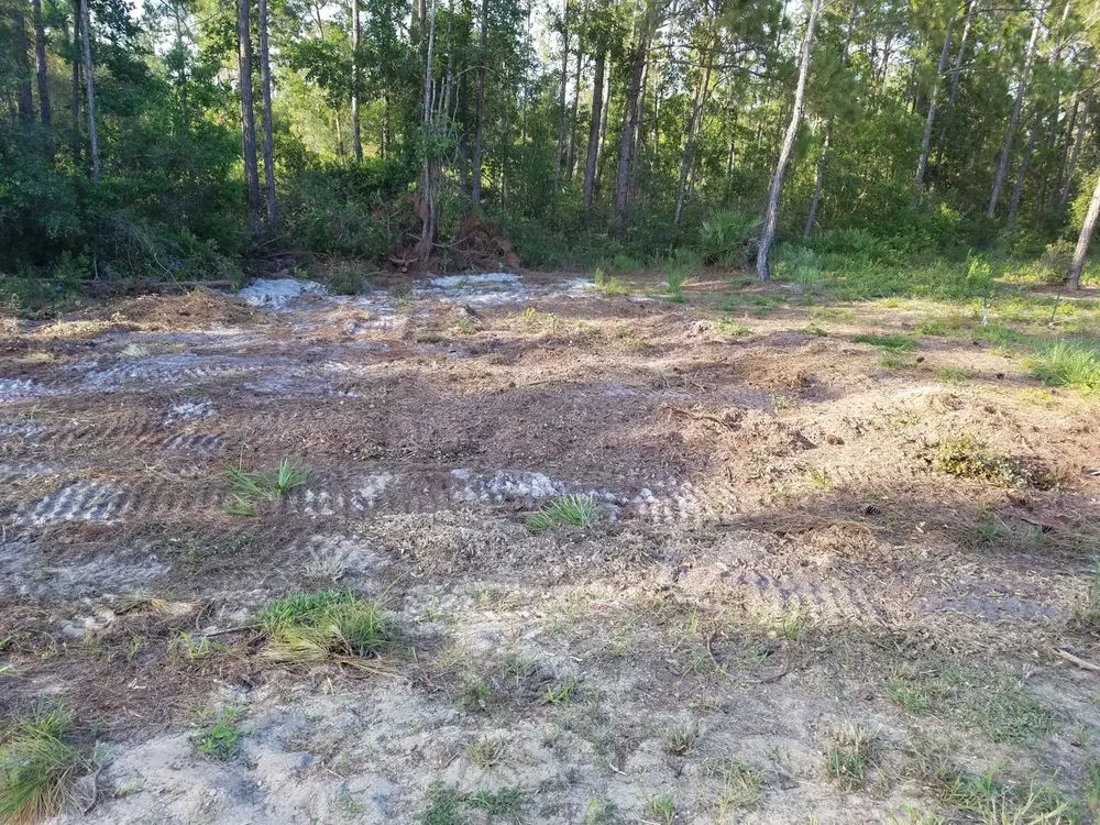 Affordable yard maintenance in Avon Park, FL by Country Brother’s Tree Service