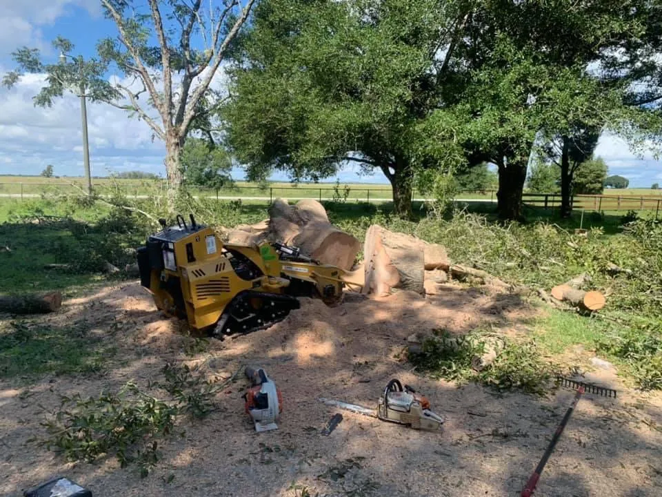 Affordable garden landscaping in Avon Park, FL by Country Brother’s Tree Service