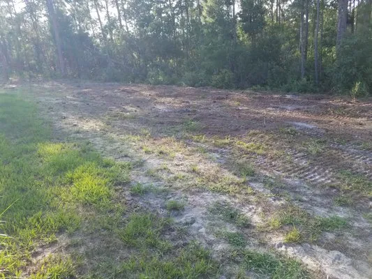 Country Brother’s Tree Service Logo