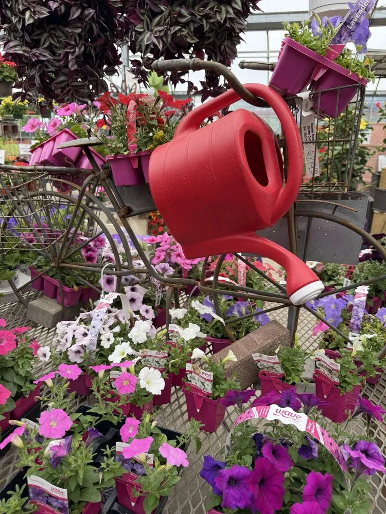 Top-rated lawn mowing service with custom design in Mundelein, IL by Country Bumpkin Garden Center