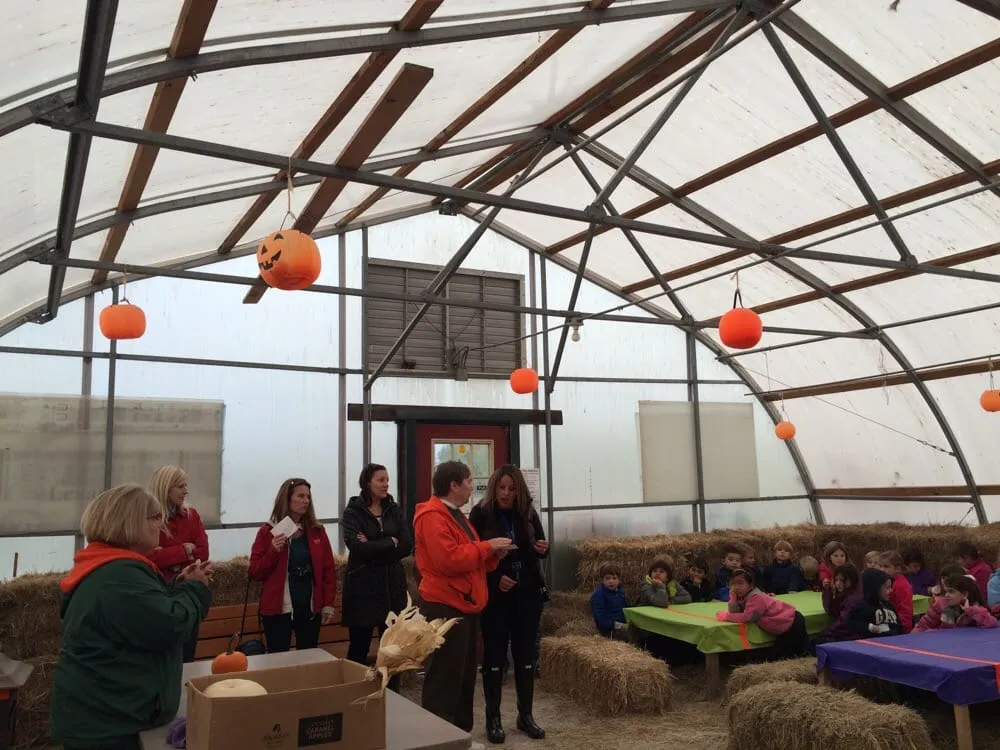 Affordable yard maintenance for beautiful yards across Mundelein, IL - Country Bumpkin Garden Center