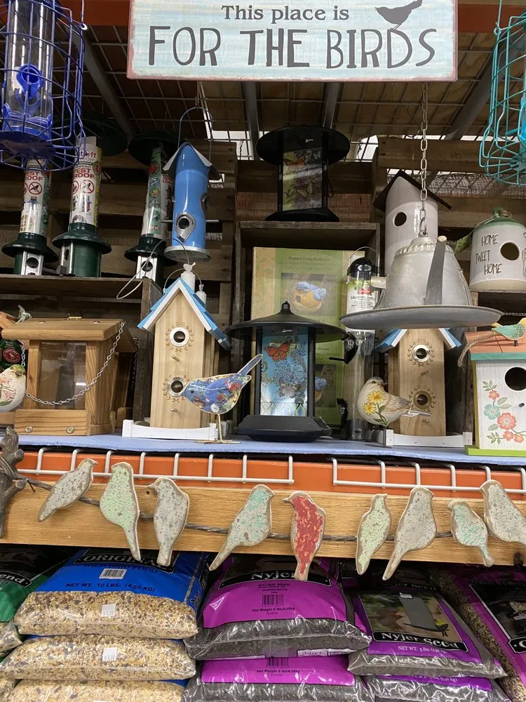 Local garden landscaping for outdoor upgrades across Mundelein, IL - Country Bumpkin Garden Center