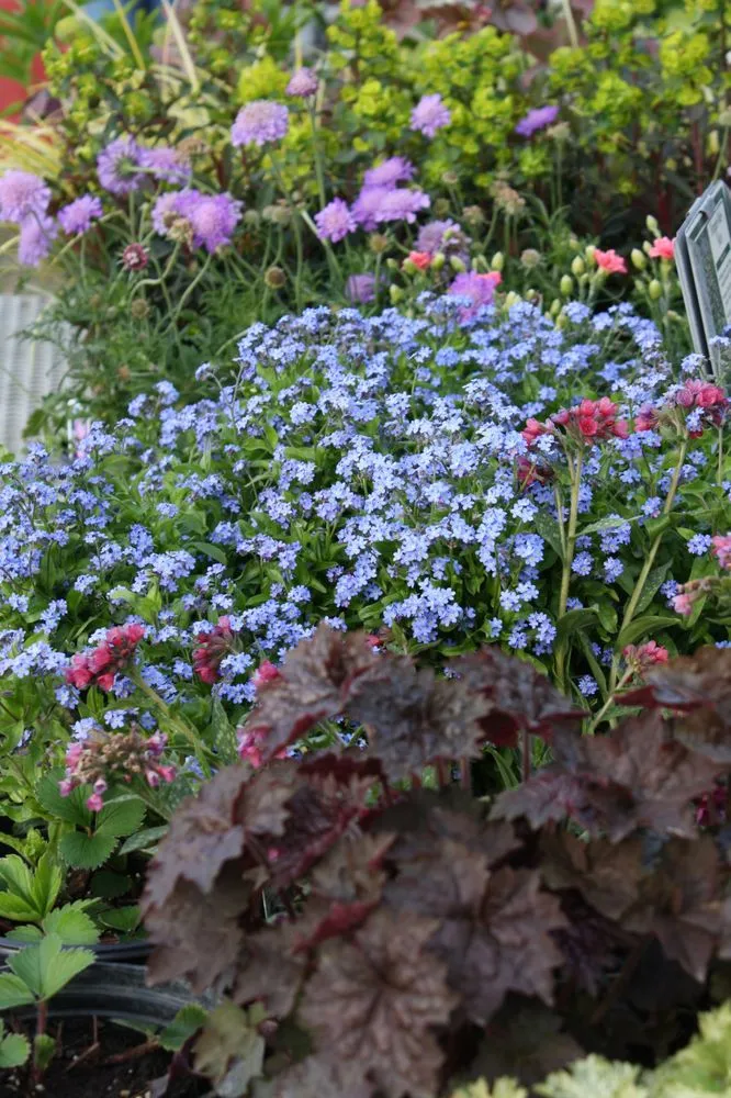 Local lawn mowing service for year-round maintenance in Mundelein, IL by Country Bumpkin Garden Center