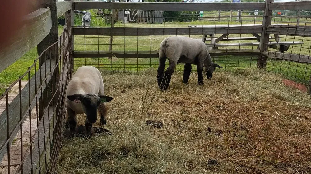 Expert yard maintenance experts serving Mundelein, IL - Country Bumpkin Garden Center