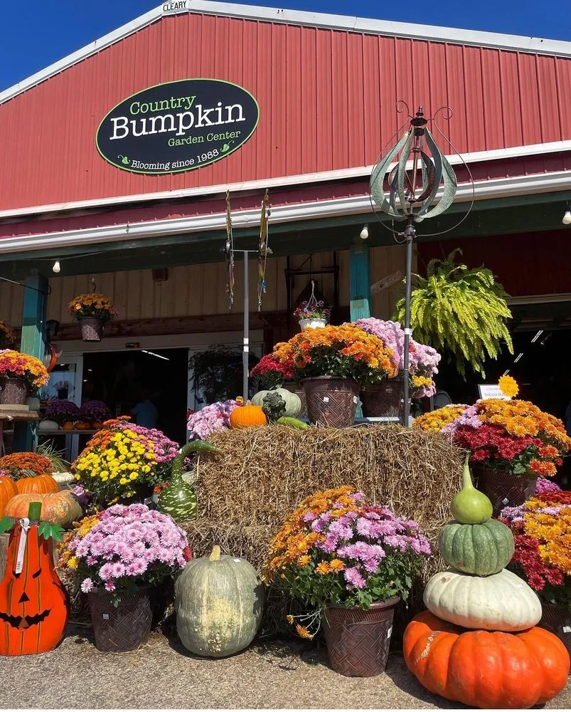 Reliable lawn mowing service with custom design across Mundelein, IL - Country Bumpkin Garden Center