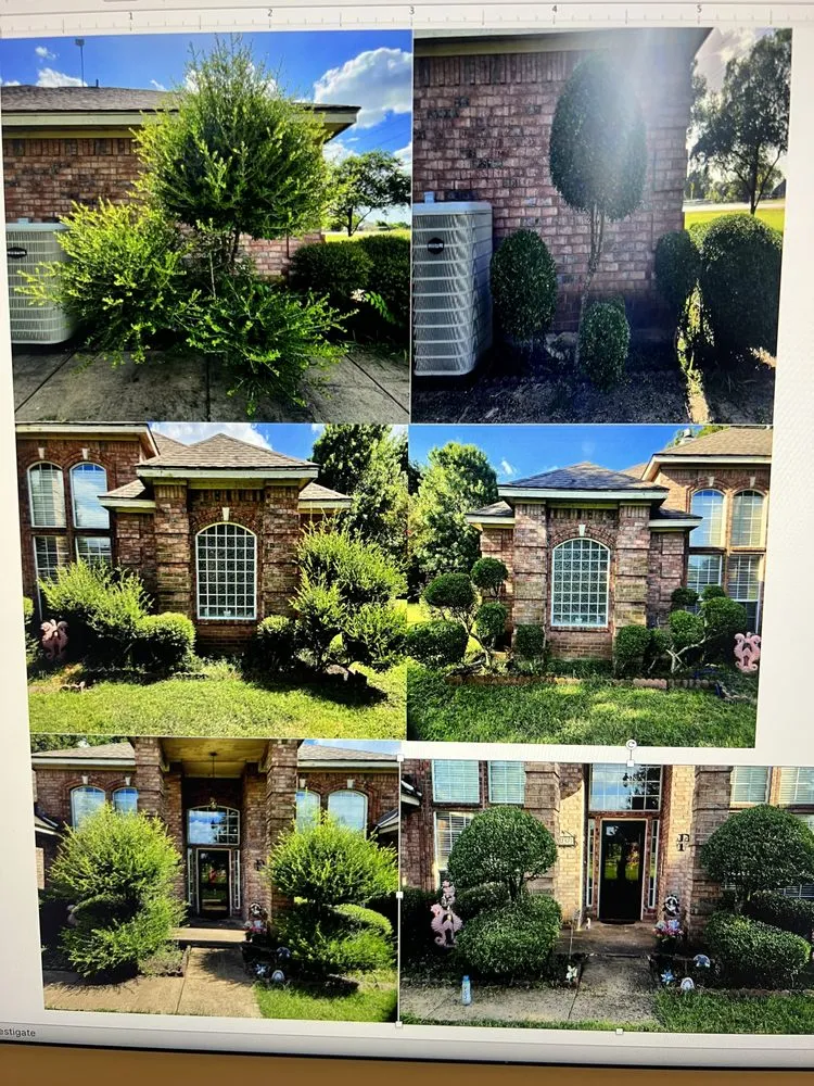 Professional yard maintenance in Palmer, TX by Country Class Lawn Care