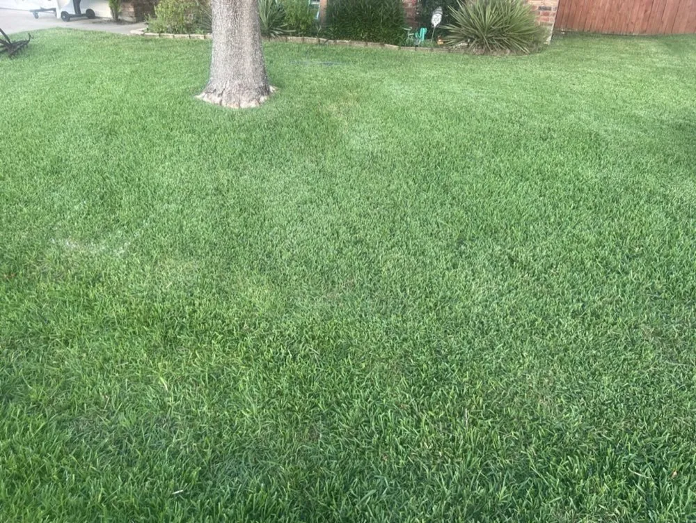 Expert landscaping services in Palmer, TX by Country Class Lawn Care