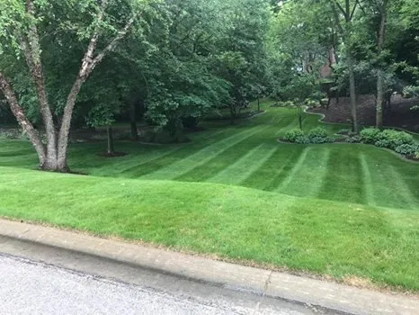 Professional outdoor landscaping with custom design across Marion, IA - Country Club Lawn Care & Landscape
