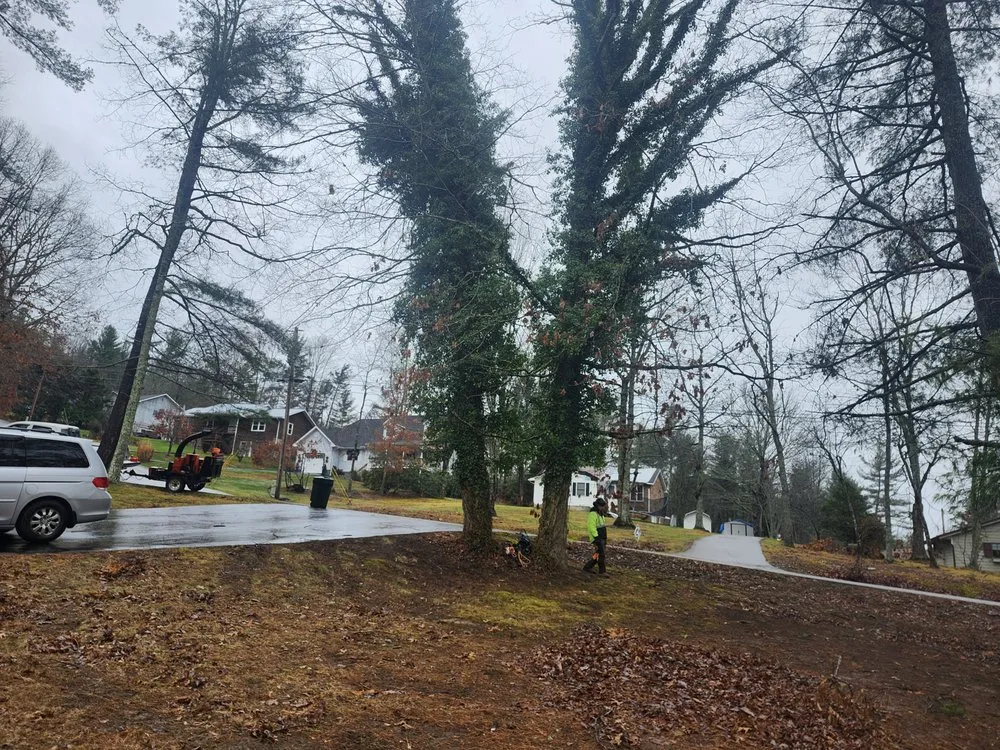 Reliable landscaping services experts serving Damascus, VA - Country Cuts Lawncare