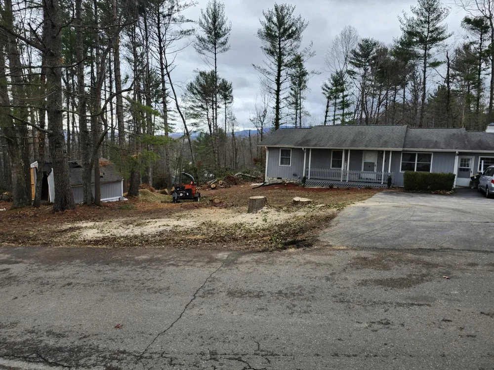 Local yard cleanup service in Damascus, VA - Country Cuts Lawncare