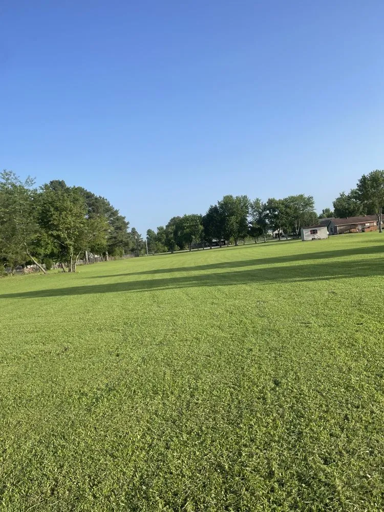 Expert residential landscaping for outdoor upgrades in Greenbrier, AR by Country Cutters Lawn Service