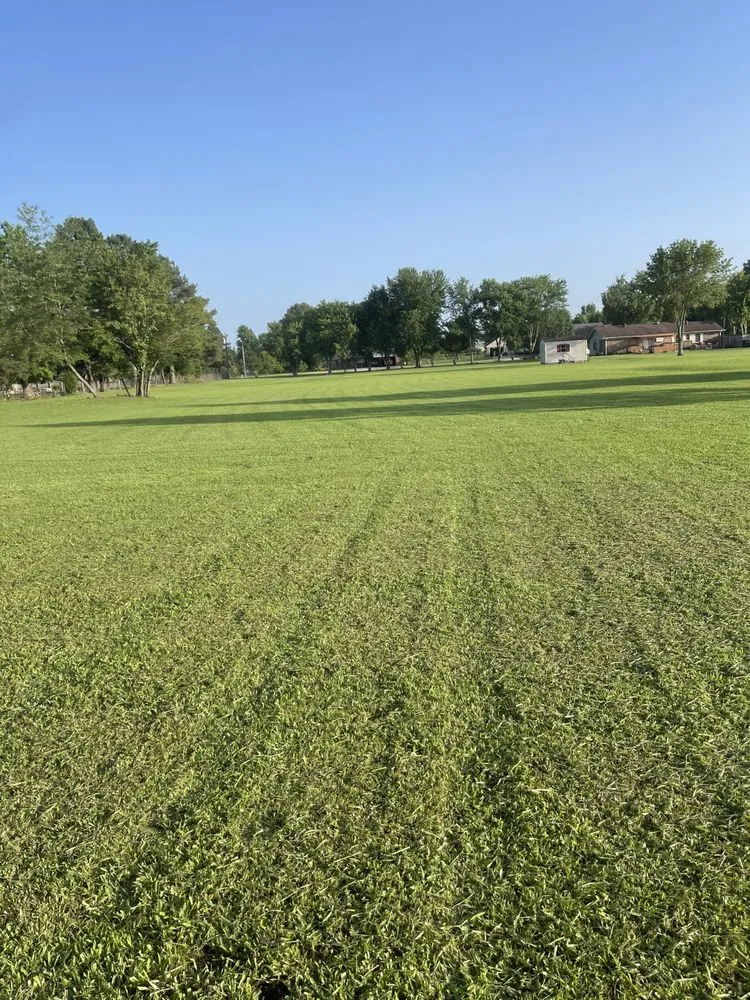 Trusted yard maintenance in Greenbrier, AR by Country Cutters Lawn Service