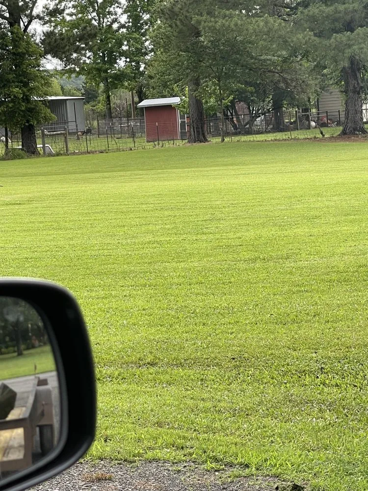 Affordable lawn mowing service experts serving Greenbrier, AR - Country Cutters Lawn Service