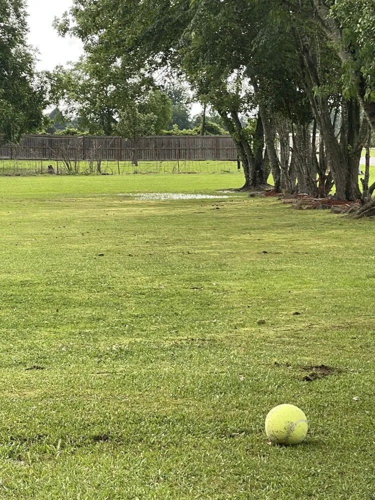 Custom lawn care service for year-round maintenance across Greenbrier, AR - Country Cutters Lawn Service