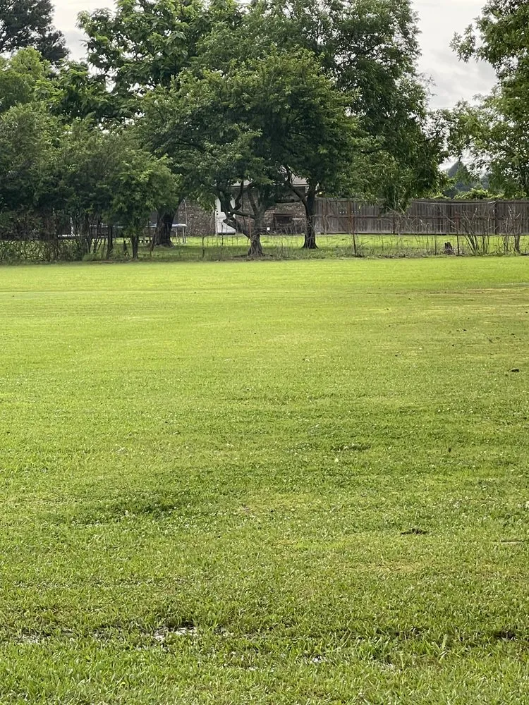 Expert yard maintenance experts serving Greenbrier, AR - Country Cutters Lawn Service